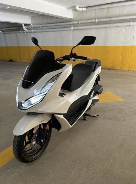 MOTA 125cc — 60€/SEMANA