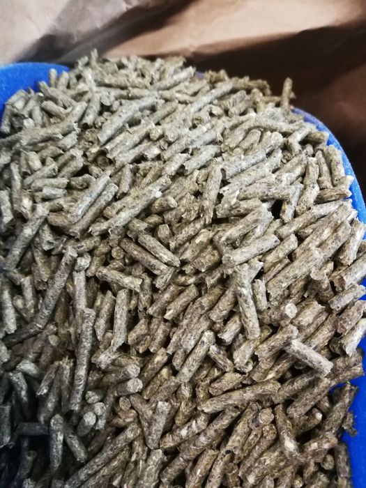 Słonecznik czarny, pasiak, łuskany, worki 20kg