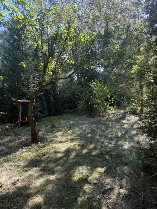 ROD Sahara , 400mk , Witow kolonia