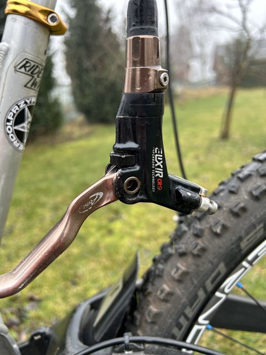 Rower dh devinci wilson