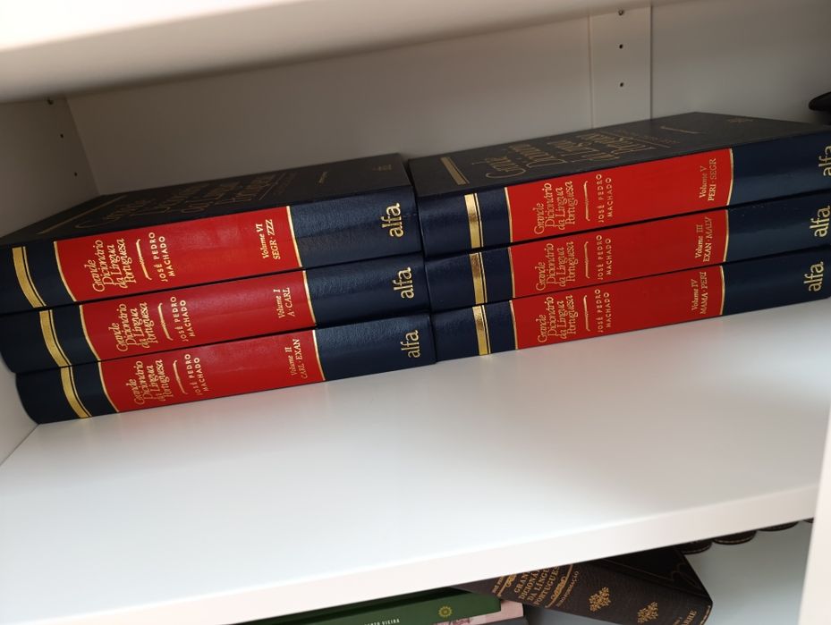 Vendo conjunto do grande dicionário da língua portuguesa