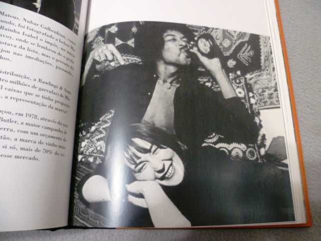 Vinho, Gastronomia, Dieta, Cozinha Natural, Bem estar - Vários livros