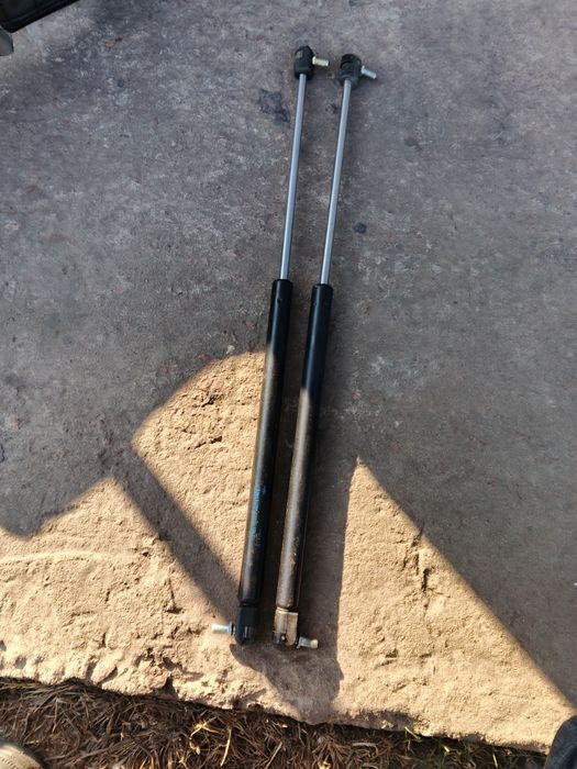 Стойкі ляди славута