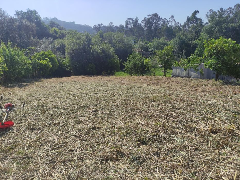 Terreno Lameira de Baixo - 950 m2