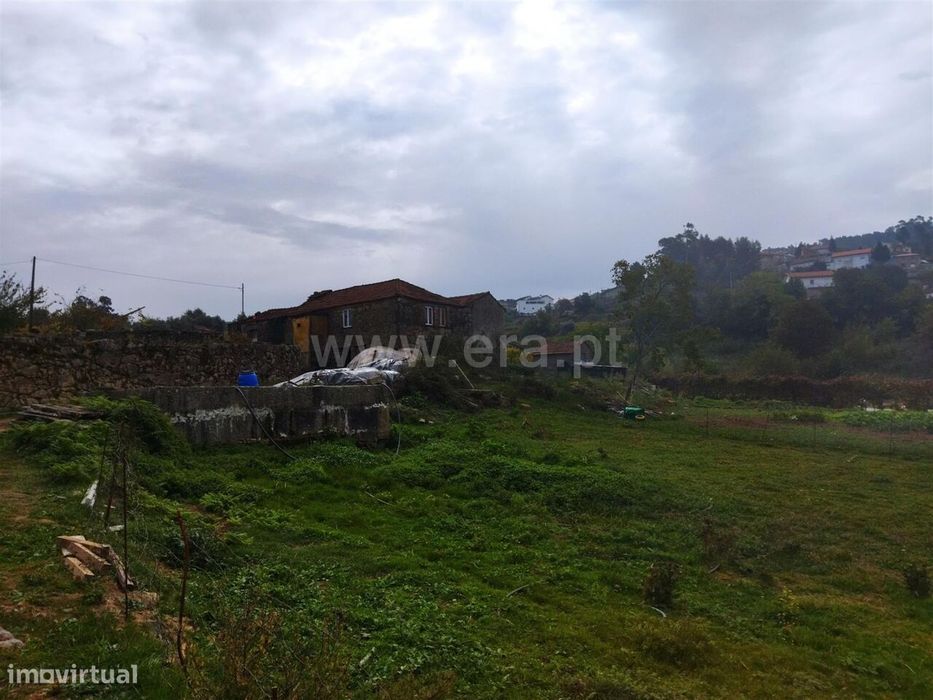 Quinta / Cinfães, Tarouquela