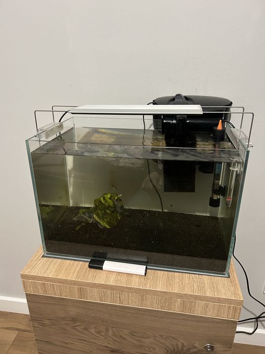 Akwarium 36litów