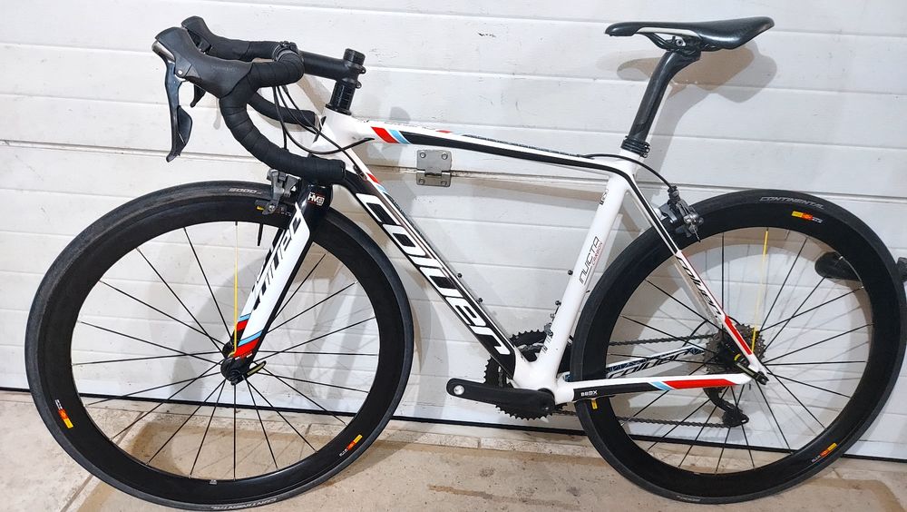 Coluer Invicta carbono  t50