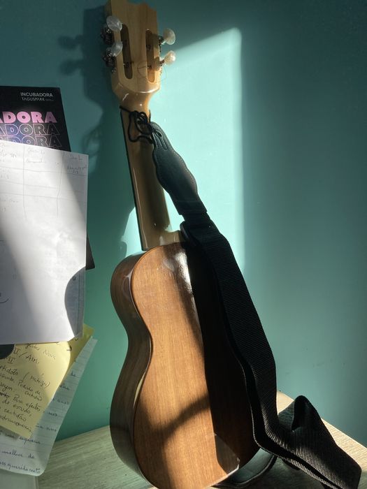 Cavaquinho APC mod 100