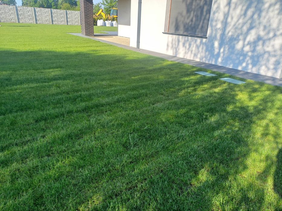 Trawa trawnik z rolki sprzedaż transport montaż wysyłki