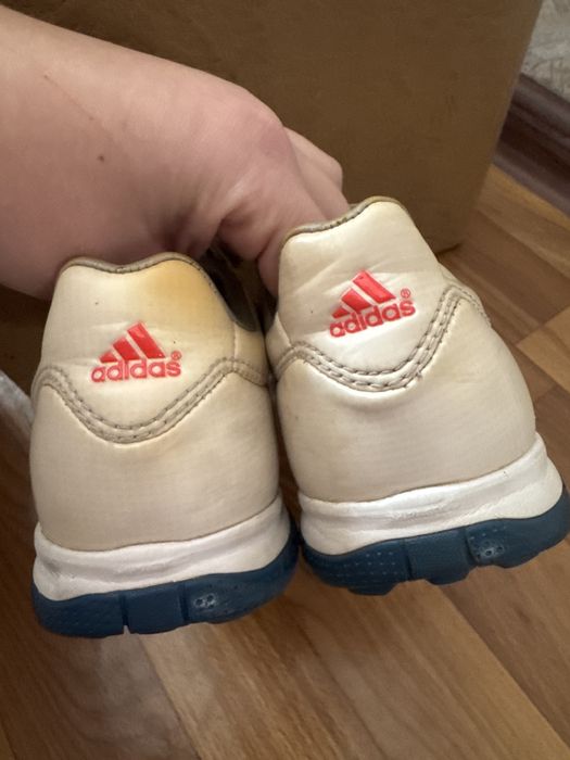 Продам сороконіжки 35 р