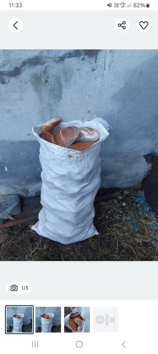 Chleb w workach dla zwierząt