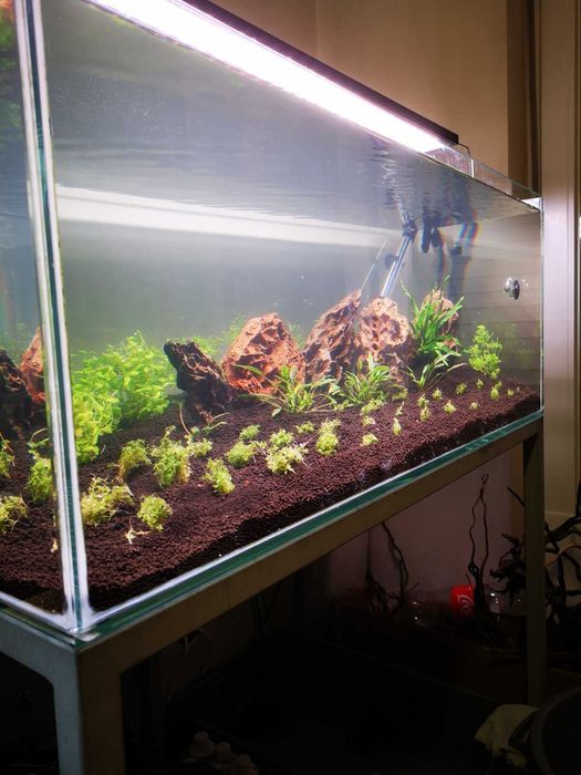 Aquário, estrutura 300 litros filtro