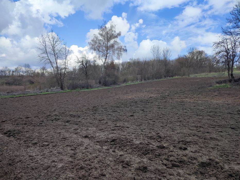 Продається будинок в с. Лісовичі, Білоцерківський район