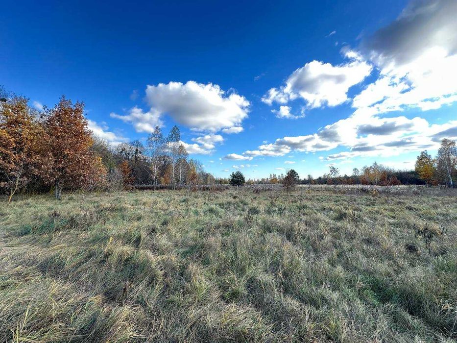 Продаж  ділянки 38,36сот.(25 сот під забудову+13,36ОСГ)Почепин.ID:732