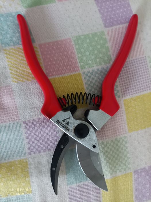 Multímetro i tesouras de poda vindima