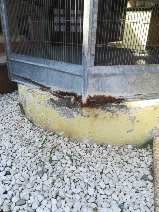 Gaiola pássaros 2 metros altura, 130cm largura