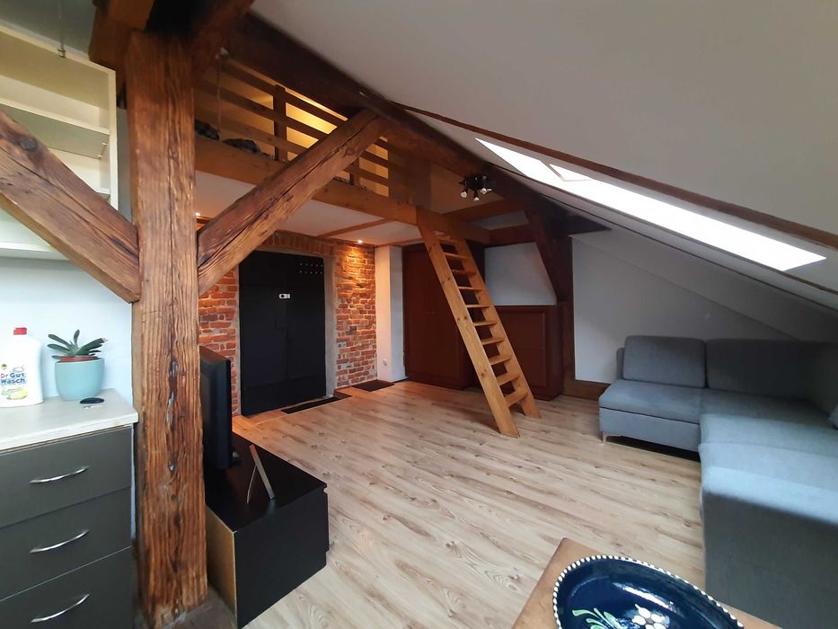 Loft, mieszkanie do wynajęcia na doby, noclegi