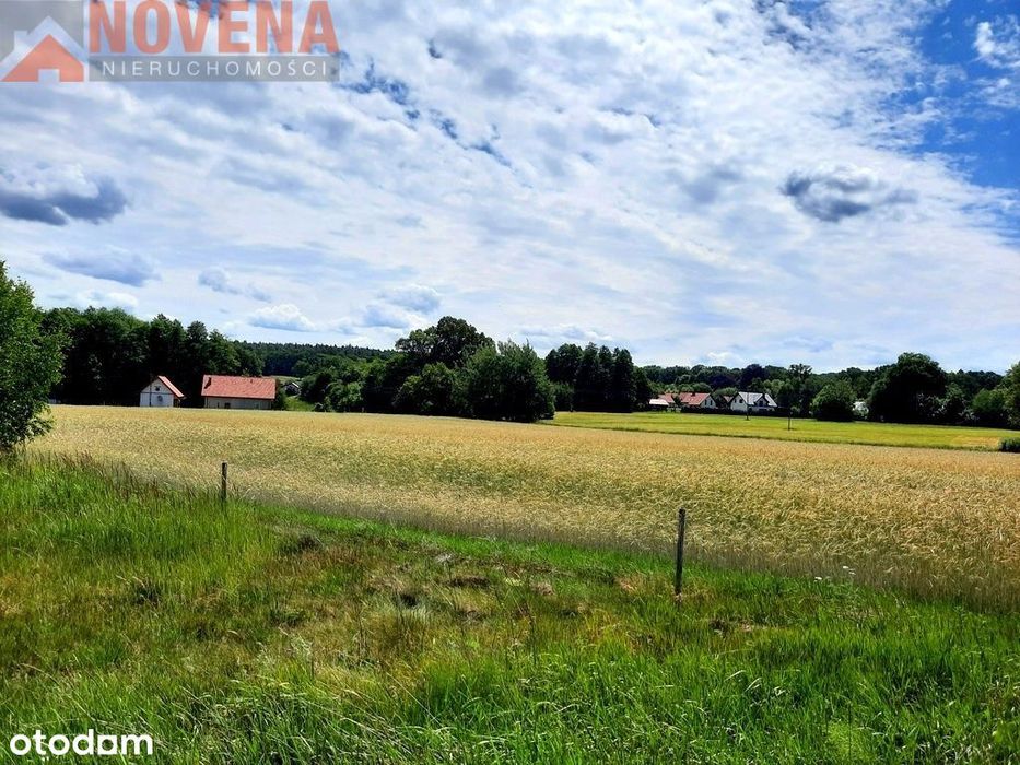 Działki na niewielkiej wsi, wśrd lasów.