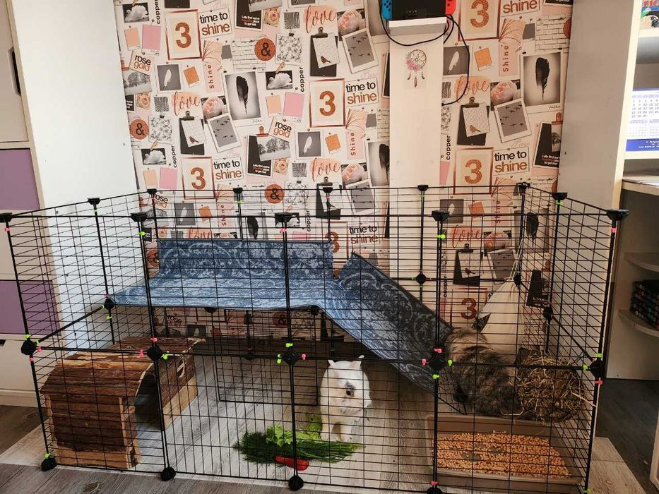 DUŻA Klatka dla gryzoni Kojec zagroda modułowy wybieg metalowy XXL