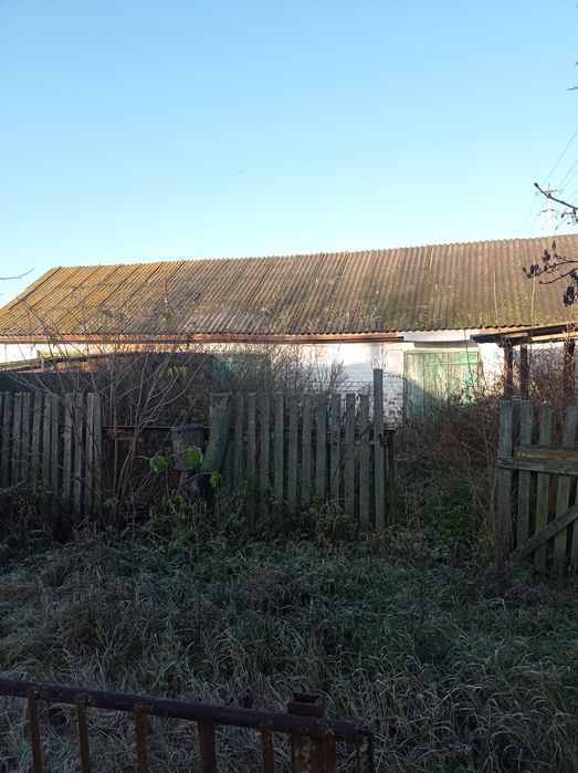 Помешкання біля річки. Село Брусилів.