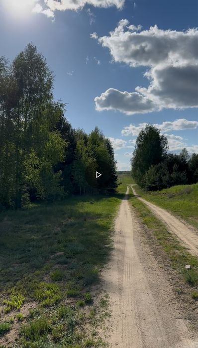 Zdjęcie 7