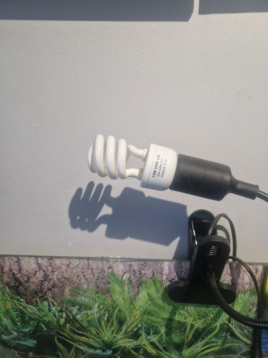 Akwarium z wyposażeniem dla żółwia