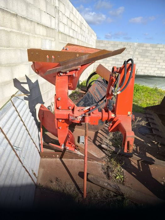 Charrua em excelente estado