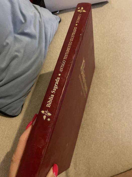 Biblia Sagrada. Antigo testamento ilustrado