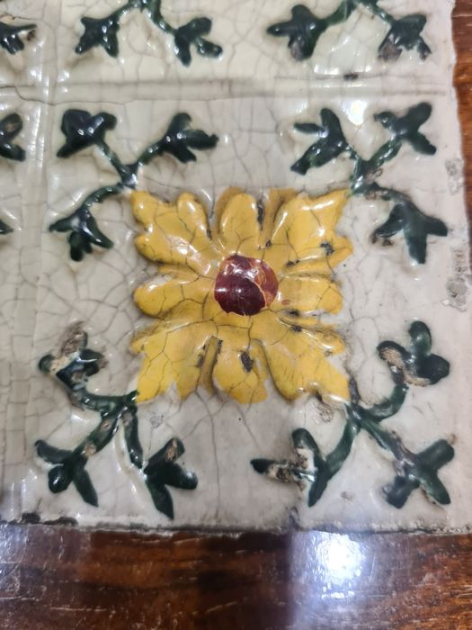 Azulejo( parte ) das devezas