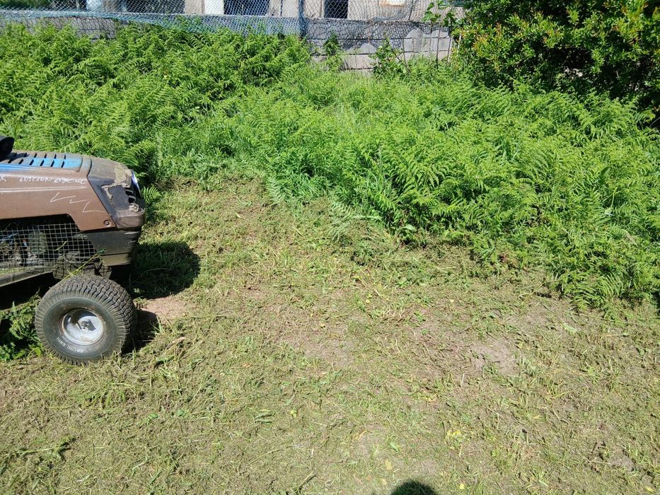 Serviços de Jardinagem