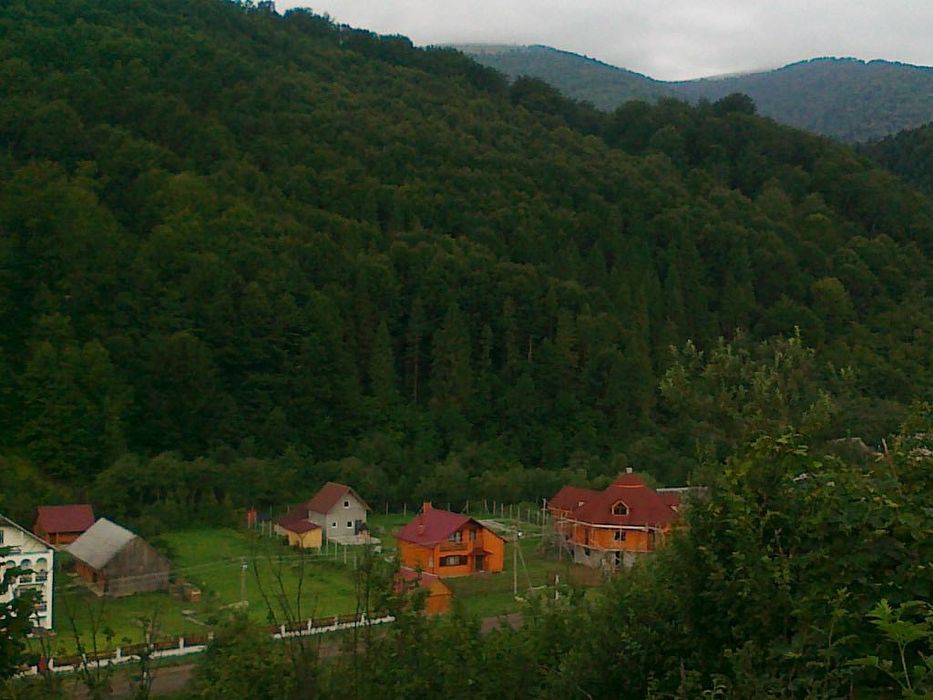 Будинок для проживання та бізнесу