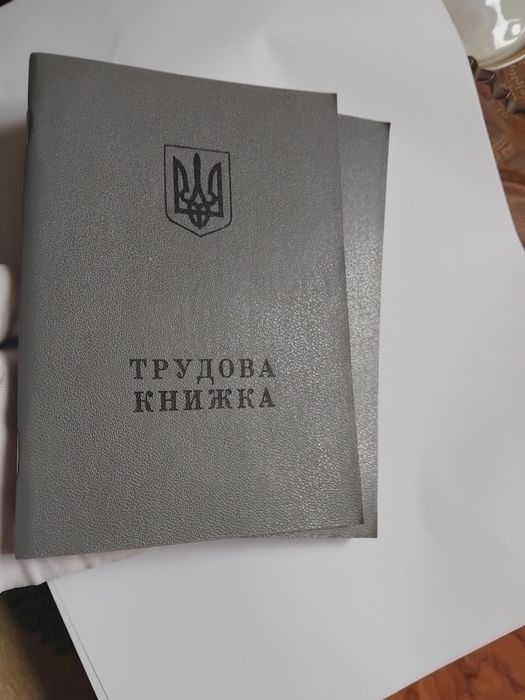 Трудова книжка 1995