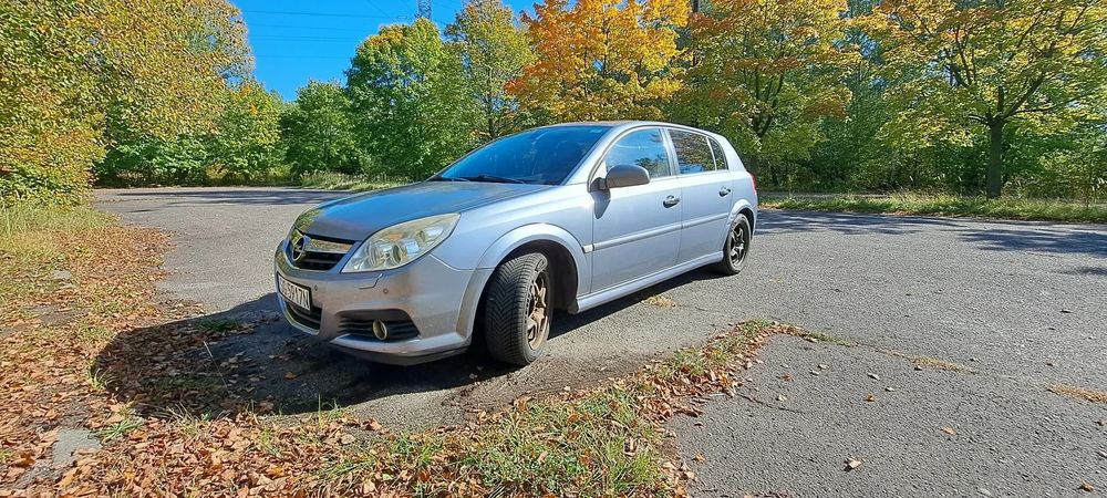 Opel Signum 1.9 CDTI Elegance