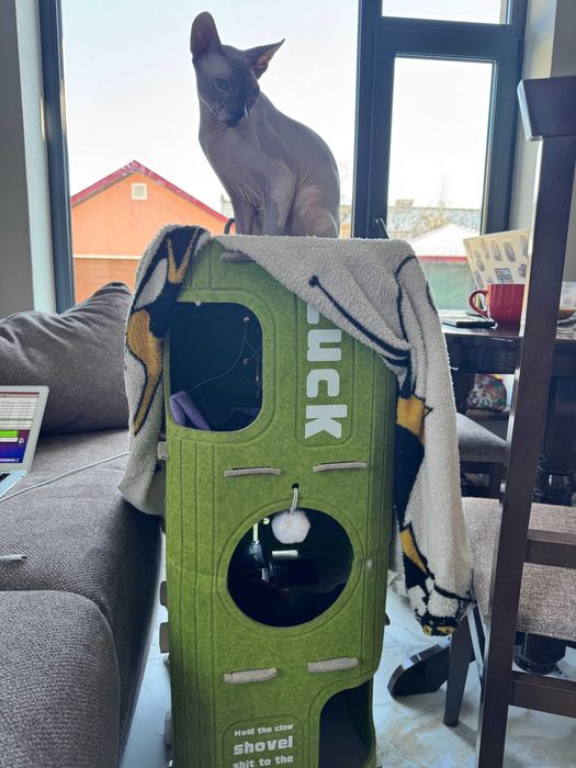 Лежанка для котика або маленькоі собачки когтеточка будинок для кота