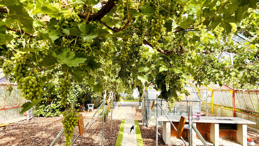 Domek 2-piętrowy 100m/2