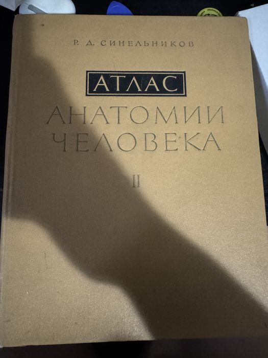 Атлас анатомии Синельников