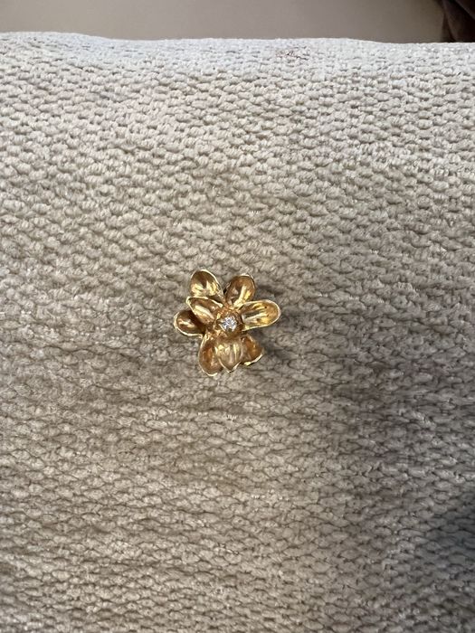 Brinco Carolina Curado