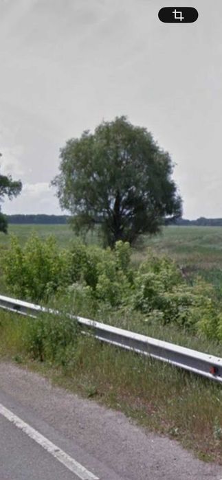 Продам ОСГ  ФАССАД 4 га земельну ділянку в Обухівському районі Київської області (Гусачівка)