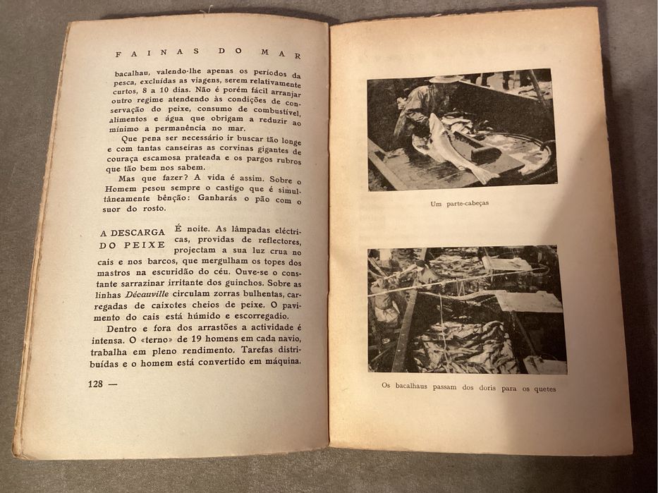 Livro “Fainas do Mar” de Frederico Cruz 1946. Raro.