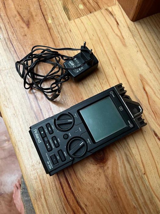 Microphone Roland R26