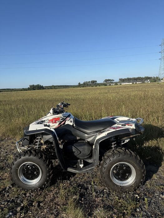 Can am renegade 500