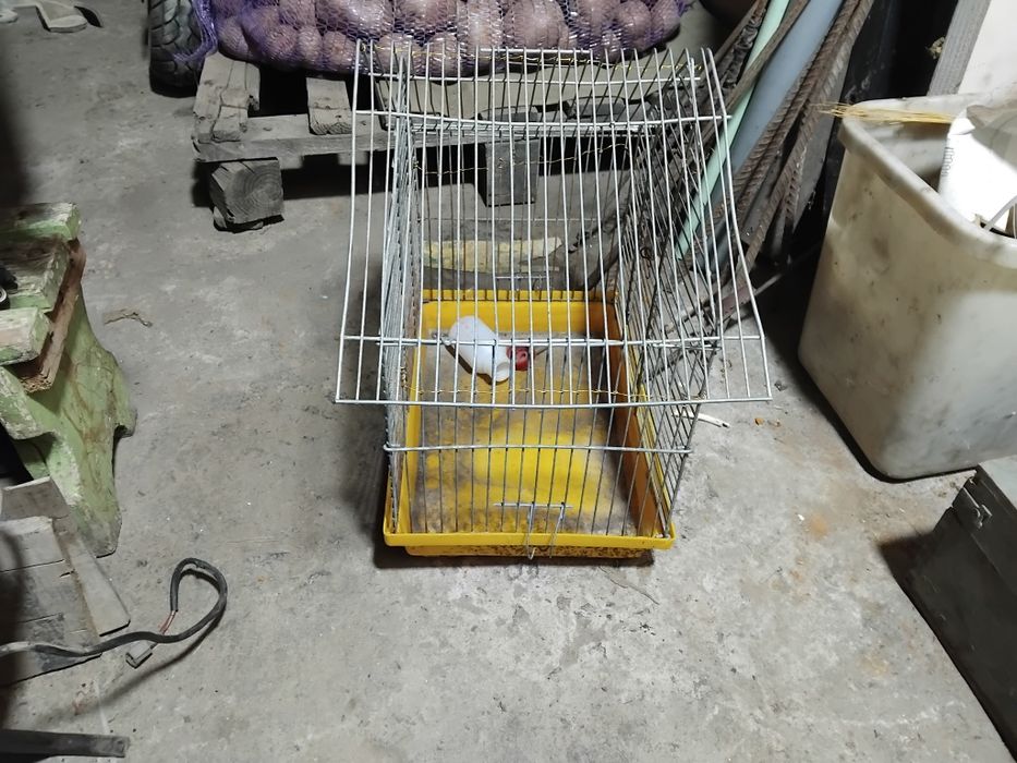 Клітка для хом'яка