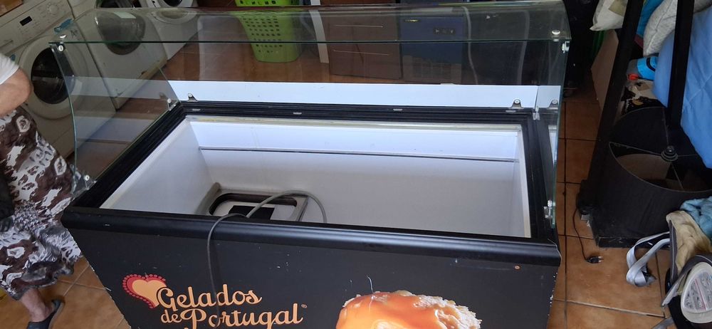 Arca Exposição Gelados