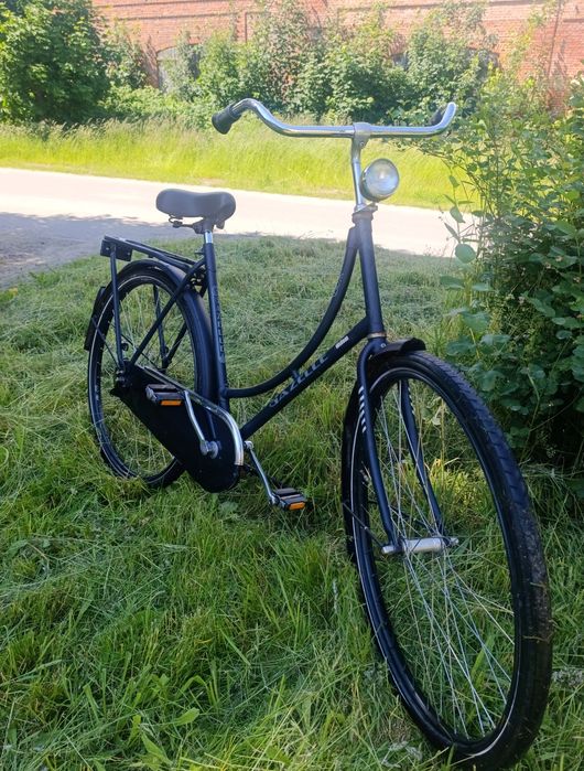 ,,Gazelle " oryginalna damka holenderska