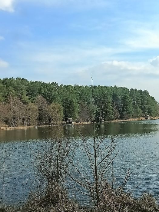 Продаж землі участок Пряжево біля річки, озера, Любава