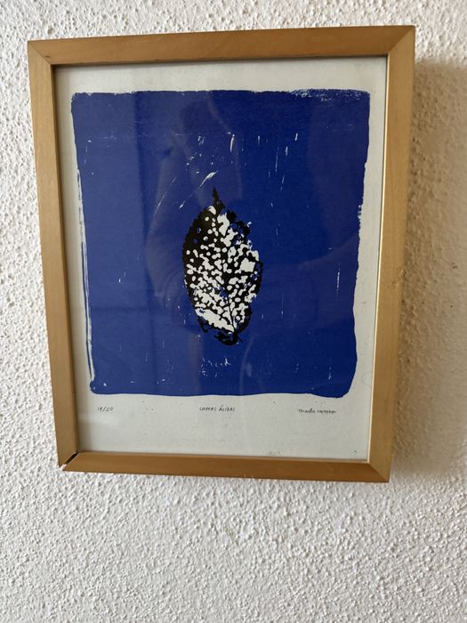 Lote de 7 quadros emoldurados