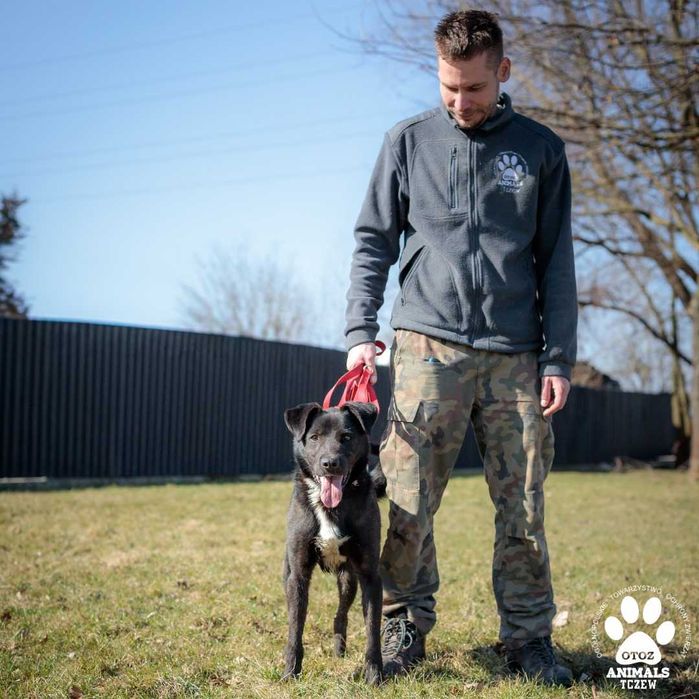 OTOZ TCZEW - BATAT - szuka domu!