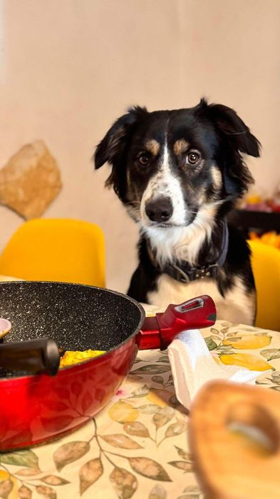 Caezinhos de 1 ano e 7 meses para adoção conjunta