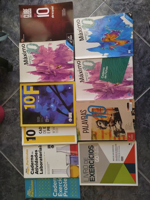 Vários manuais/ livros fichas 5° ao 11° anos