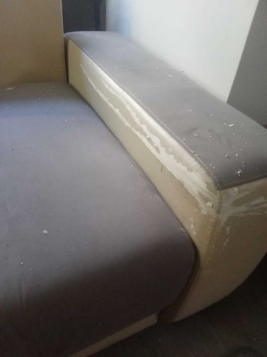 sofá com cama, mobiliário de casa